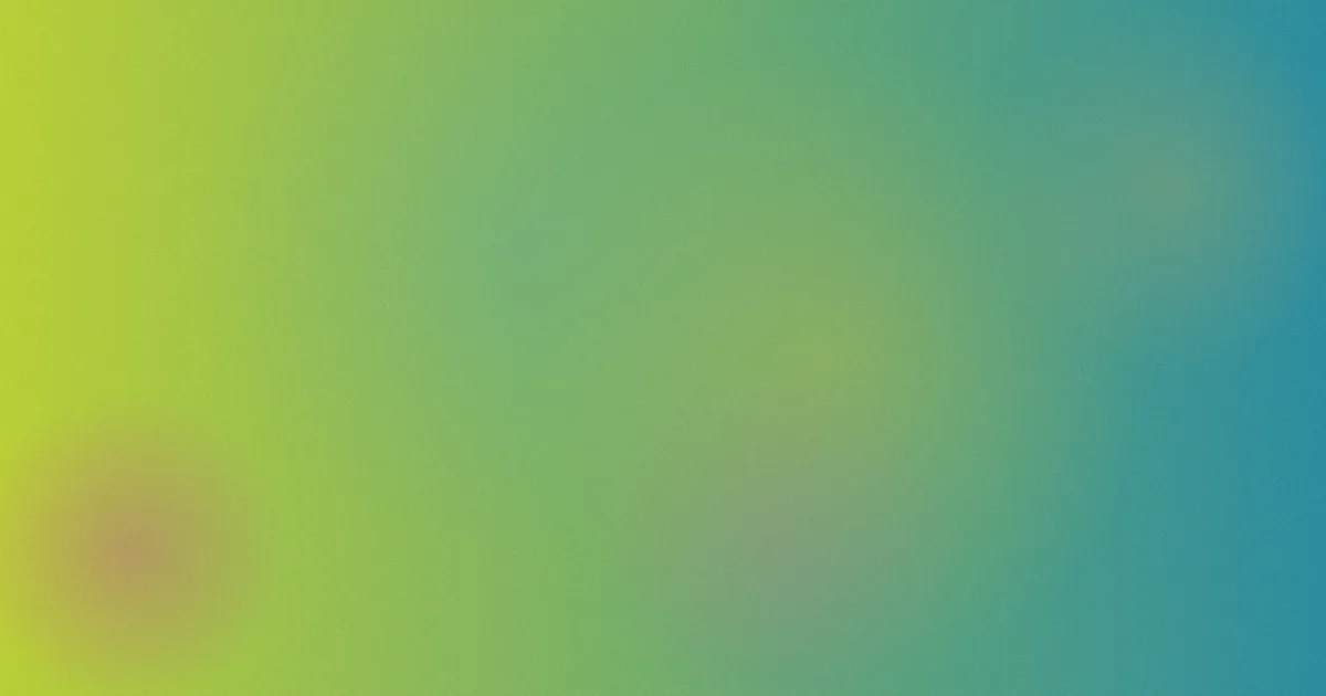 天下大同推荐：新手这样学